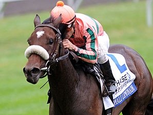 Somali Lemonade Seeks to Regain Winning Form Somali Lemonade Seeks to Regain Winning Form
