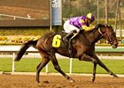 Premier Pegasus<br><a target="blank" href="http://www.bloodhorse.com/horse-racing/photo-store?ref=http%3A%2F%2Fpictopia.com%2Fperl%2Fgal%3Fprovider_id%3D368%26ptp_photo_id%3D9445962%26ref%3Dstory">Order This Photo</a>