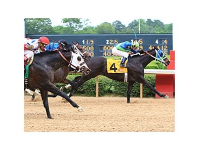 Outta Tune holds them off in the Count Fleet at Oaklawn.