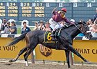 Da' Tara became the first male-line descendant of Man o' War to win an American classic since War Admiral.