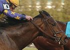 Executive Fleet will look to build off a 2nd place finish in the Carter, as he tries the Bold Ruler.