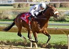 American Lion Wire-to-Wire in Illinois Derby American Lion Wire-to-Wire in Illinois Derby