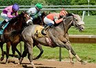 Win Willy becomes a millionaire by winning the Joe French Memorial Stakes.