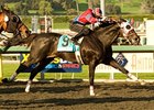 Bold Chieftain powers home to take the Sunshine Millions Classic under Russell Baze.<br><a target="blank" href="http://www.bloodhorse.com/horse-racing/photo-store?ref=http%3A%2F%2Fpictopia.com%2Fperl%2Fgal%3Fprovider_id%3D368%26ptp_photo_id%3D8769421%26ref%3Dstory">Order This Photo</a>