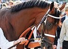Big Brown to Stand at Three Chimneys Big Brown to Stand at Three Chimneys