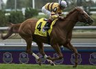 Wise Dan wins the Woodbine Mile.