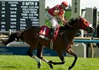Smartyfly wins the Wonder Where Stakes.