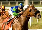 Rail Trip winning the Californian Stakes June 12.<br><a target="blank" href="http://www.bloodhorse.com/horse-racing/photo-store?ref=http%3A%2F%2Fpictopia.com%2Fperl%2Fgal%3Fprovider_id%3D368%26ptp_photo_id%3D9065821%26ref%3Dstory">Order This Photo</a>