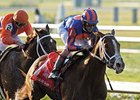 2007 Louisiana Derby Winner Circular Quay makes his 4-year old debut in the San Carlos Handicap.<br><a target="blank" href="http://www.bloodhorse.com/horse-racing/photo-store?ref=http%3A%2F%2Fpictopia.com%2Fperl%2Fgal%3Fprovider_id%3D368%26ptp_photo_id%3D866216%26ref%3Dstory">Order This Photo</a>