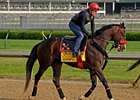 Recapturetheglory returns to action in the Northern Dancer June 14.<br><a target="blank" href="http://www.bloodhorse.com/horse-racing/photo-store?ref=http%3A%2F%2Fpictopia.com%2Fperl%2Fgal%3Fprovider_id%3D368%26ptp_photo_id%3D4347222%26ref%3Dstory">Order This Photo</a>