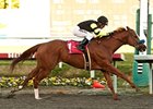 Pacific Ocean flies home in the Vernon O. Underwood at Hollywood Park.
