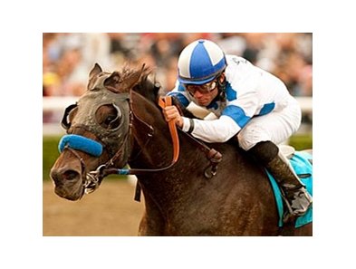 Twirling Candy faces 7 in the Strub.<br><a target="blank" href="http://www.bloodhorse.com/horse-racing/photo-store?ref=http%3A%2F%2Fpictopia.com%2Fperl%2Fgal%3Fprovider_id%3D368%26ptp_photo_id%3D9346087%26ref%3Dstory">Order This Photo</a>