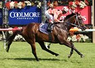 Black Caviar takes control late to win the Lightning Stakes, her 19th win without a defeat.