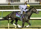 Fawkes Holds Strong Pair in Sprint Fawkes Holds Strong Pair in Sprint