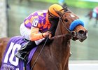 Ciao Bella Luna won the 2013 Beaumont Stakes.