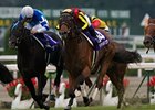 Verxina (left) has finished second in all three jewels of Japan's Triple Crown for fillies this season.<br><a target="blank" href="http://photos.bloodhorse.com/AtTheRaces-1/at-the-races-2012/22274956_jFd5jM#!i=2148927181&k=NpfnhdZ">Order This Photo</a>
