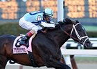 Verrazano <br><a target="blank" href="http://photos.bloodhorse.com/AtTheRaces-1/at-the-races-2013/27257665_QgCqdh#!i=2449124333&k=gvmpvpz">Order This Photo</a>