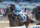 Tiz Miz Sue<br><a target="blank" href="http://photos.bloodhorse.com/AtTheRaces-1/at-the-races-2013/27257665_QgCqdh#!i=2542445694&k=n5Wpdgx">Order This Photo</a>