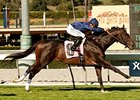 Mr Commons who is by Artie Schiller
