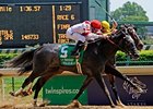 Unrivaled Belle defeated 2009 Horse of the Year Rachel Alexandra in her last start.<br><a target="blank" href="http://www.bloodhorse.com/horse-racing/photo-store?ref=http%3A%2F%2Fpictopia.com%2Fperl%2Fgal%3Fprovider_id%3D368%26ptp_photo_id%3D8937171%26ref%3Dstory">Order This Photo</a>