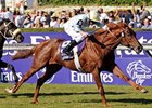 Conduit in the 2008 Breeders' Cup Turf.<br><a target="blank" href="http://www.bloodhorse.com/horse-racing/photo-store?ref=http%3A%2F%2Fpictopia.com%2Fperl%2Fgal%3Fprovider_id%3D368%26ptp_photo_id%3D6458147%26ref%3Dstory">Order This Photo</a>
