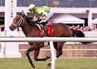 Tate's Landing won the Laurel Futurity on turf Oct. 27.