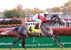 Criminologist dominates in the Cardinal.