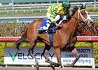 Devil May Care<br><a target="blank" href="http://www.bloodhorse.com/horse-racing/photo-store?ref=http%3A%2F%2Fpictopia.com%2Fperl%2Fgal%3Fprovider_id%3D368%26ptp_photo_id%3D8855099%26ref%3Dstory">Order This Photo</a>