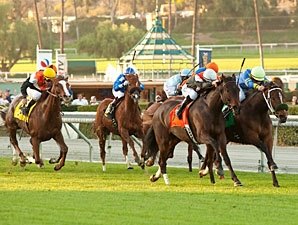 Customer Base Closes Deal for Frankel Victory Customer Base Closes Deal for Frankel Victory