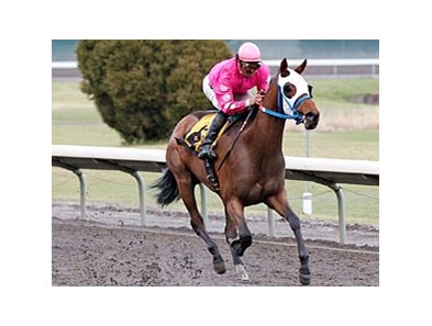 Alec's Moon pulls away to win the Portland Meadows Oaks.