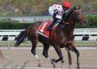 Nashua winner To Honor and Serve takes on 6 in the Remsen.