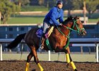 Smooth Air is one of 10 Breeders' Cup starters in the Race for Education program.