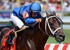 Hamazing Destiny<br><a target="blank" href="http://photos.bloodhorse.com/AtTheRaces-1/at-the-races-2012/22274956_jFd5jM#!i=1855620285&k=prvGG65">Order This Photo</a>