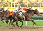 Shakin It Up wins the 2013 Malibu Stakes.
