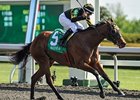 Gypsy Robin wins the Beaumont Stakes.