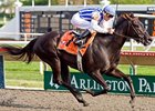Euphony to Defend Title in Arlington Matron Euphony to Defend Title in Arlington Matron