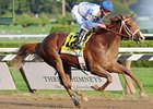 <br><a target="blank" href="http://www.bloodhorse.com/horse-racing/photo-store?ref=http%3A%2F%2Fpictopia.com%2Fperl%2Fgal%3Fprovider_id%3D368%26ptp_photo_id%3D8468138%26ref%3Dstory">Order This Photo</a>