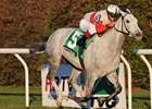 Hit It Rich powers home to win the Long Island Handicap. <br><a target="blank" href="http://www.bloodhorse.com/horse-racing/photo-store?ref=http%3A%2F%2Fpictopia.com%2Fperl%2Fgal%3Fprovider_id%3D368%26ptp_photo_id%3D9734941%26ref%3Dstory">Order This Photo</a>