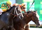 Aikenite (left) finished second by a nose in the 2011 running of the Phoenix.