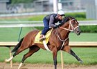 Mark Valeski working at Churchill Downs 4/30/2012.
<br><a target="blank" href="http://photos.bloodhorse.com/TripleCrown/2012-Triple-Crown/Works/22611108_LR3wcn#!i=1821116252&k=w9j94T6">Order This Photo</a>