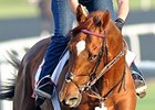 A Look at Today's Broodmare Sires A Look at Today's Broodmare Sires