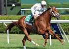 Sidney's Candy wins the Fourstardave Handicap.
<br><a target="blank" href="http://www.bloodhorse.com/horse-racing/photo-store?ref=http%3A%2F%2Fpictopia.com%2Fperl%2Fgal%3Fprovider_id%3D368%26ptp_photo_id%3D9621537%26ref%3Dstory">Order This Photo</a>