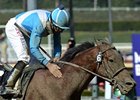 Calidoscopio<br><a target="blank" href="http://photos.bloodhorse.com/BreedersCup/2012-Breeders-Cup/Marathon/26130229_MsH7Ls#!i=2191905866&k=C622hwd">Order This Photo</a>