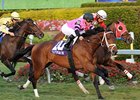 Silver Medallion gets up late to win the Ft. Lauderdale at Gulfstream Park.<br><a target="blank" href="http://www.bloodhorse.com/horse-racing/photo-store?ref=http%3A%2F%2Fpictopia.com%2Fperl%2Fgal%3Fprovider_id%3D368%26ptp_photo_id%3D9799146%26ref%3Dstory">Order This Photo</a>