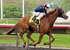 Pachattack flies home to win the Arlington Matron.