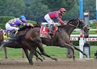 Willy Beamin won the King's Bishop Stakes at seven furlongs on Aug. 25.<br><a target="blank" href="http://photos.bloodhorse.com/AtTheRaces-1/at-the-races-2012/22274956_jFd5jM#!i=2047002796&k=mv7x8q8">Order This Photo</a>
