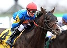 Newsdad makes his 2013 debut in the Mac Diarmida Stakes at Gulfstream Park.