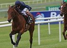 Duke of Marmalade takes the Tattersall's Gold Cup (Ire-I) May 25 at the Curragh.