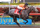 The rest will be chasing High Resolve in the Las Flores.<br><a target="blank" href="http://www.bloodhorse.com/horse-racing/photo-store?ref=http%3A%2F%2Fpictopia.com%2Fperl%2Fgal%3Fprovider_id%3D368%26ptp_photo_id%3D7535420%26ref%3Dstory">Order This Photo</a>