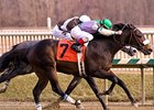 J J's Lucky Train outfinished Bandbox to win the Miracle Wood Stakes.